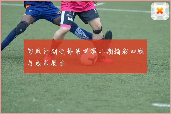 雏凤计划赴韩集训第二期精彩回顾与成果展示