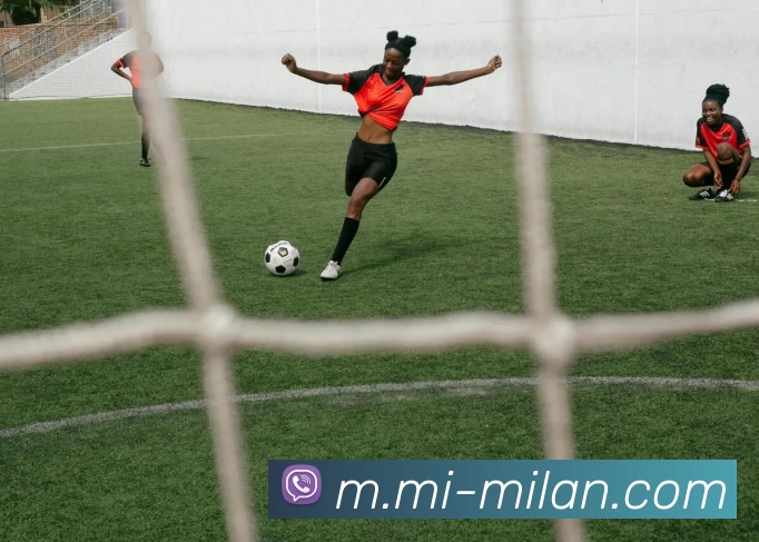 米兰体育APP 封面图